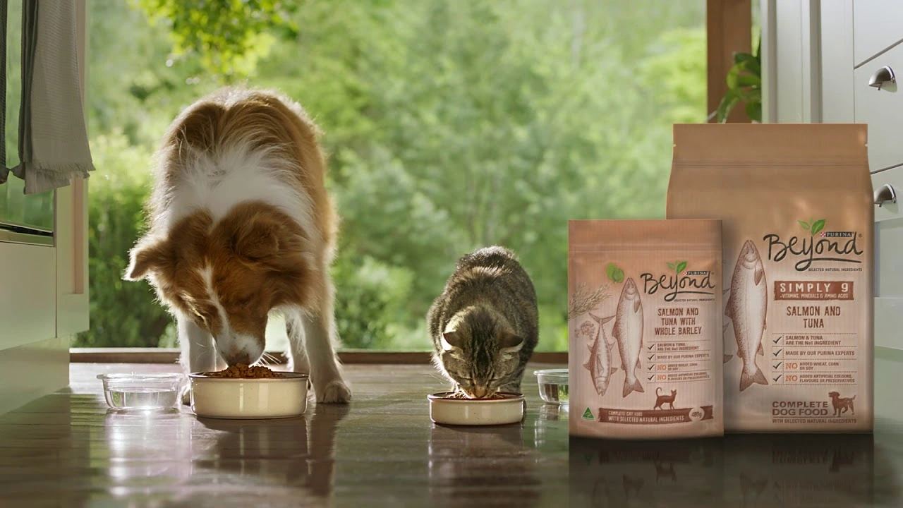 Purina:registered: Beyond:registered: high quality dog and cat food made with selected natural ingre